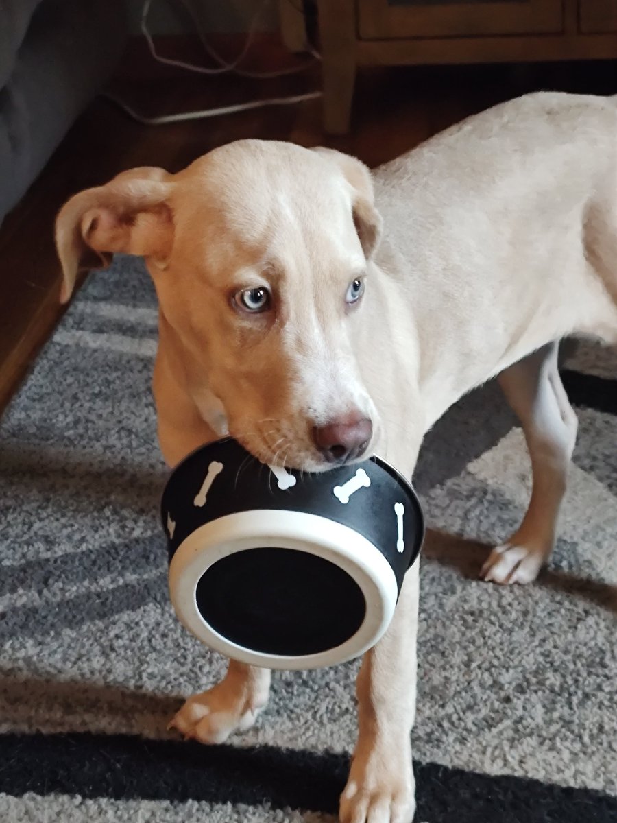 66cess's tweet image. 