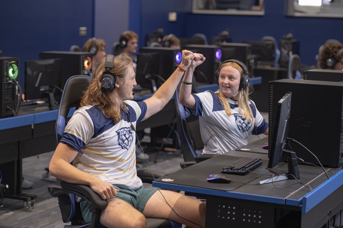 Trine Esports tweet media