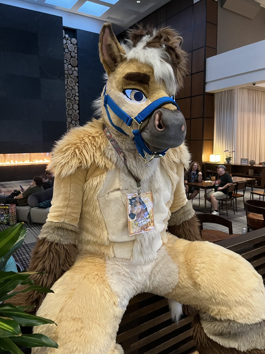 🐴Granite🐴 tweet media