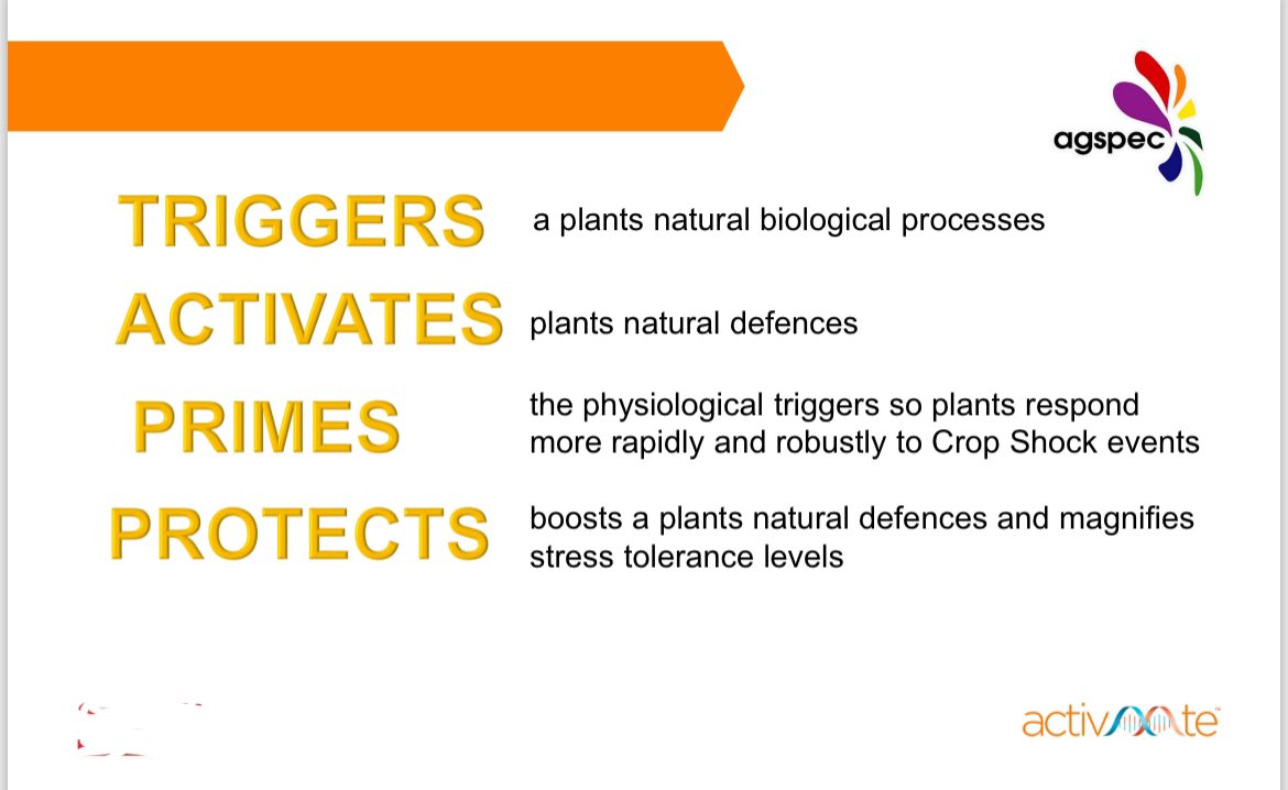 AgspecAus's tweet photo. Plant recovery after a #frost event is crucial to maximise #yield #ActivAAte by #agspec triggers a #plant #metabolism to produce #sugars and #protein which helps both protect and recover from #CropShock events like frost! #lentils #wheat #canola #ausag https://t.co/k9Z4OkwT5t