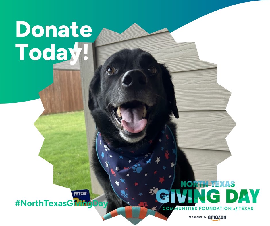 DFW Labrador Rescue tweet media