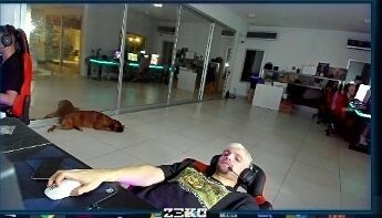 Museo de kick/Twitch Argentina tweet media