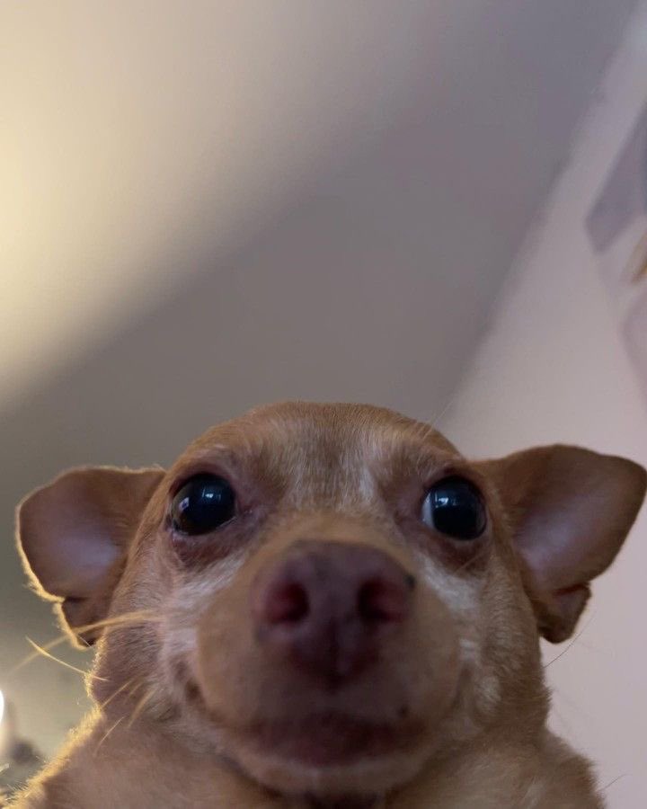 twaniimals's tweet photo. ㅤㅤㅤㅤ https://t.co/1V1DwnGEh8