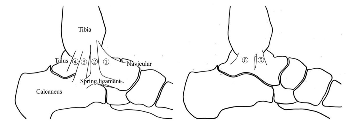 Sᴡɪss Uʟᴛʀᴀsᴏᴜɴᴅ Cᴇɴᴛᴇʀ - UZR tweet media