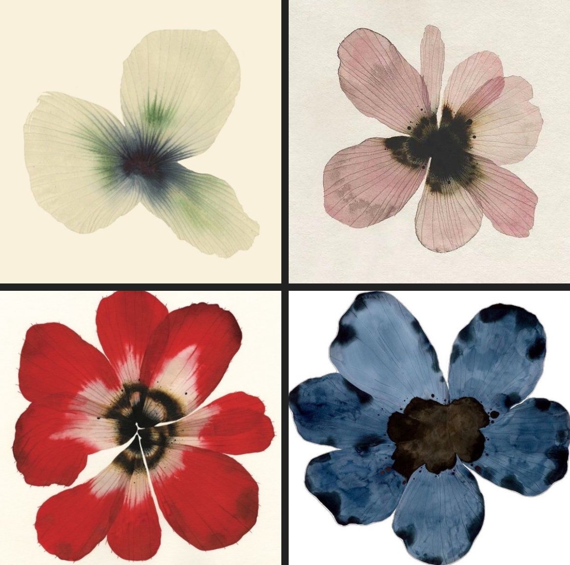 controdicting's tweet image. 