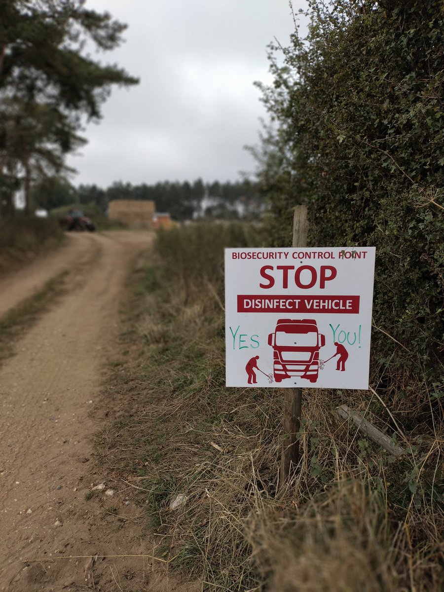 Nothing wrong with a bit of DIY embellishment - it might even help the cause ?
<a href="/AHDB_Pork/">AHDB Pork</a> <a href="/BQPPigs/">BQPPigs</a> <a href="/pigworldmag/">Pig World</a> <a href="/contentedpigs/">Contented Products</a>