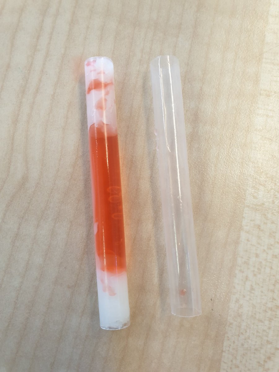 This week, our S2s have been conducting their own experiments to find out the differences between saturated and unsaturated fats. The fake blood was a hit! 💉🩸
