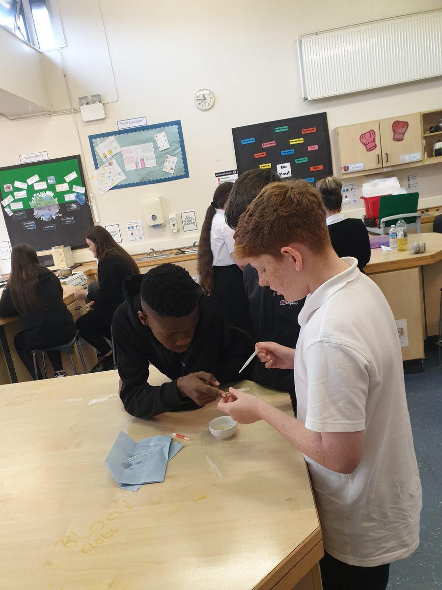 divers_miss's tweet photo. This week, our S2s have been conducting their own experiments to find out the differences between saturated and unsaturated fats. The fake blood was a hit! 💉🩸 https://t.co/pxnuycIL9B