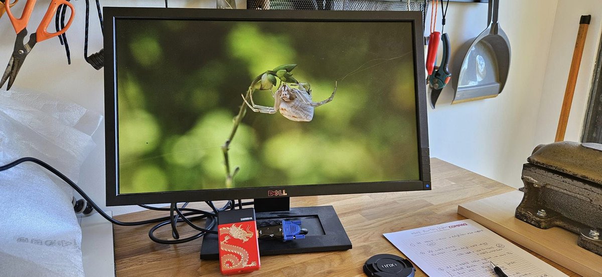 Shimbol_tech's tweet image. Repost from Pierre Escoubas

“Super stoked with the Shimbol TP mini wireless HDMI system !
Just tried it and it worked flawlessly. No need for pairing etc. Worked like a charm right out of the box”

#shimbol #setlife #camerasetup #videorig #camerarig #videography #cameragear