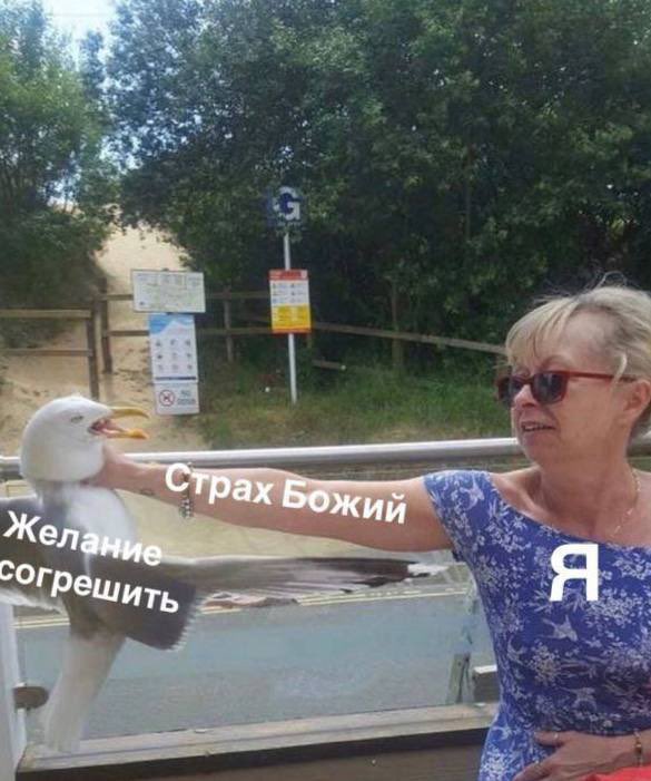 санта тампере tweet media