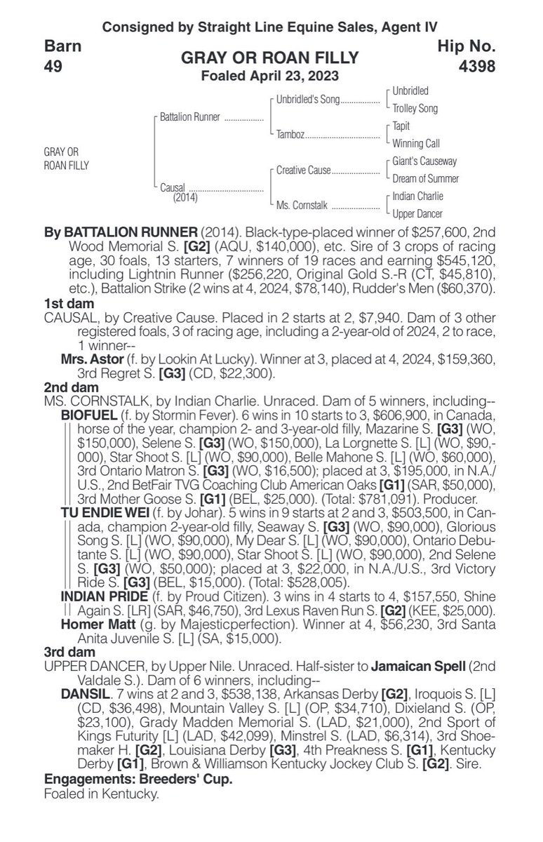 evan thomas (@_evanthomas_) on Twitter photo 🚨Selling with <a href="/StraightLineEq/">Straight Line Equine Sales</a> 🚨
Hip 4398
Filly by the sire of undefeated 2yo RATED BY MERIT. Dam is a half-sister to Canadian Horse of the Year BIOFUEL and champion 2yo filly TU ENDIE WEI. Half-Sister to G3P MRS. ASTOR, a winner since the catalog with earnings over $200k. 🚨Selling with <a href="/StraightLineEq/">Straight Line Equine Sales</a> 🚨
Hip 4398
Filly by the sire of undefeated 2yo RATED BY MERIT. Dam is a half-sister to Canadian Horse of the Year BIOFUEL and champion 2yo filly TU ENDIE WEI. Half-Sister to G3P MRS. ASTOR, a winner since the catalog with earnings over $200k.