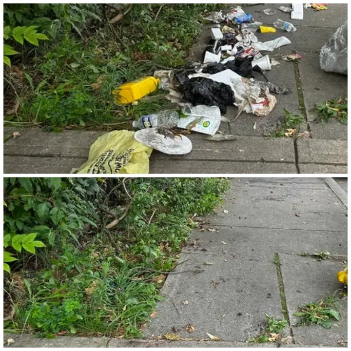 Bankz220's tweet photo. Picked out @cleanify_vet #litterfree https://t.co/6qDG0e9131