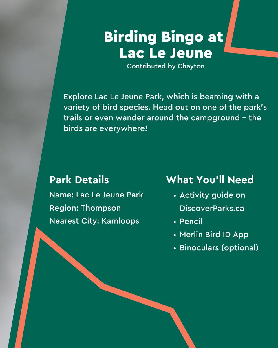 Discover Parks tweet media