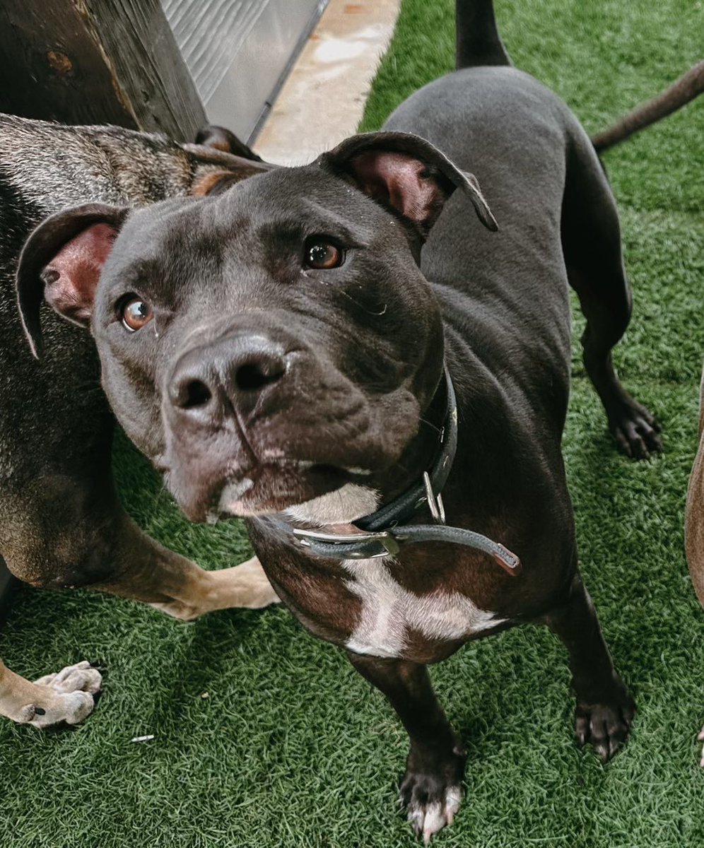 Gwen Filosa Media Key West tweet media