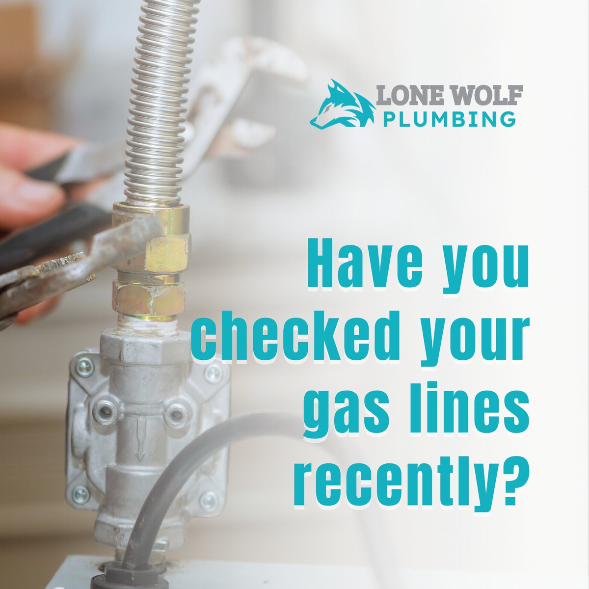 LoneWPlumbing's tweet image. 🏡 Don't risk your family's safety! At Lone Wolf Plumbing LLC, we offer reliable and professional gas line installation, repair, and maintenance services. 🔥🛠️#KatyTX #GasLineServices #PlumbingExperts #SafetyFirst #GasSafety #LoneWolfPlumbing #ReliableService