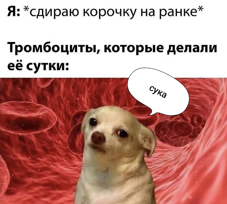 Смеяться с тупых мемов