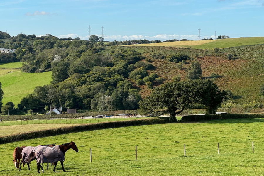 Equina_AstoCT's tweet photo. Exciting news from Wales! 🇬🇧 Our Equina CT scanner is fully operational at Cotts Equine Hospital. 🏇 Training starts Monday, and we’ve got plenty of horses ready for scanning. Stay tuned for more updates from this beautiful location! 🌞
#Wales #CottsEquine #StandingCT #AstoCT https://t.co/2FCSeoSmnD
