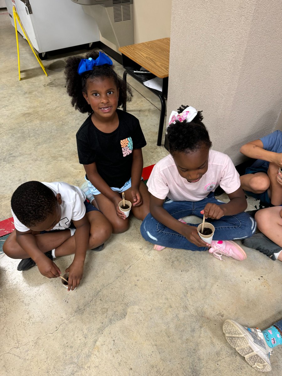 NettletonSTEAMe's tweet image. 🌟🌟Special Class Spotlight🌟🌟
Check out these green thumbs!! Our 1st graders planted their very own sunflower seeds in Agri class today. What a great way to get ready for the fall season!! 🌻🌻
#STEAMe #SpecialClassSpotlight
