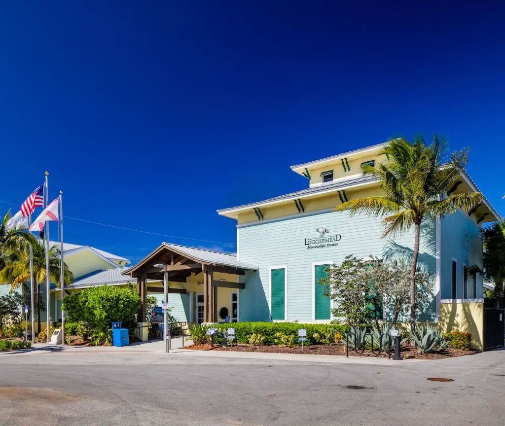 flyingladytours's tweet photo. Looking for things to do in Jupiter? Enjoy a day of shopping and dining at Harbourside Place ποΈ. Don't forget to visit the Loggerhead Marinelife Center to learn about marine life conservation π’. #JupiterFL #beachday #lighthouseexplore https://t.co/EF6e6uxKjO