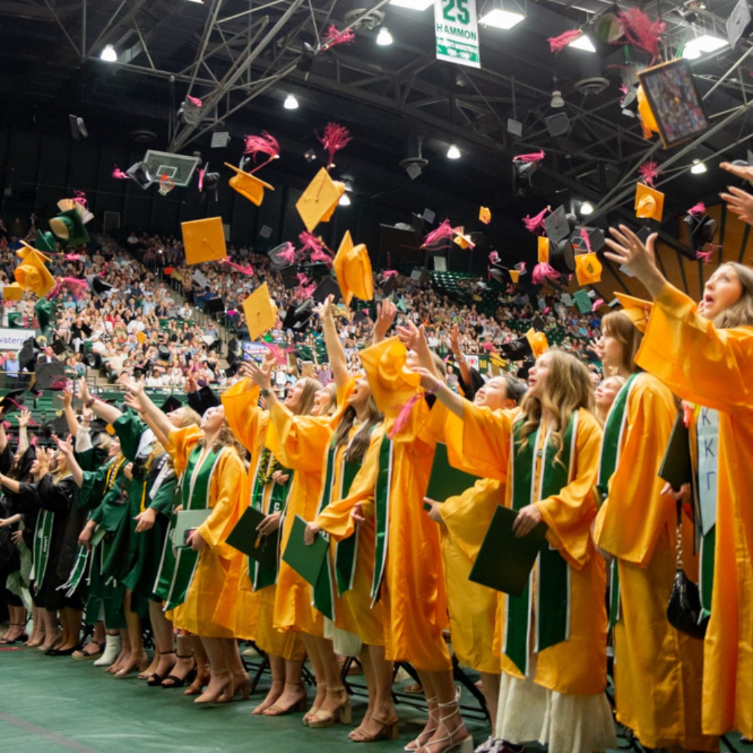 Colorado State University Online tweet media