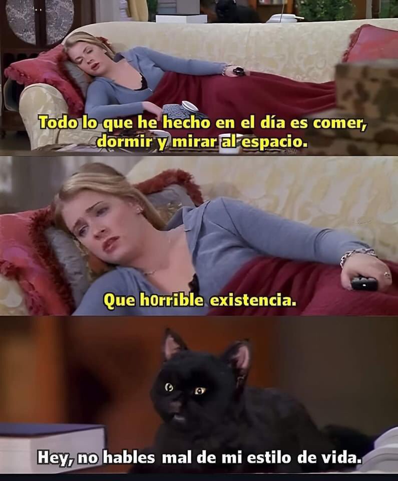 nacional_memes's tweet photo. 💅🐶 https://t.co/p8Q8mBNaJp