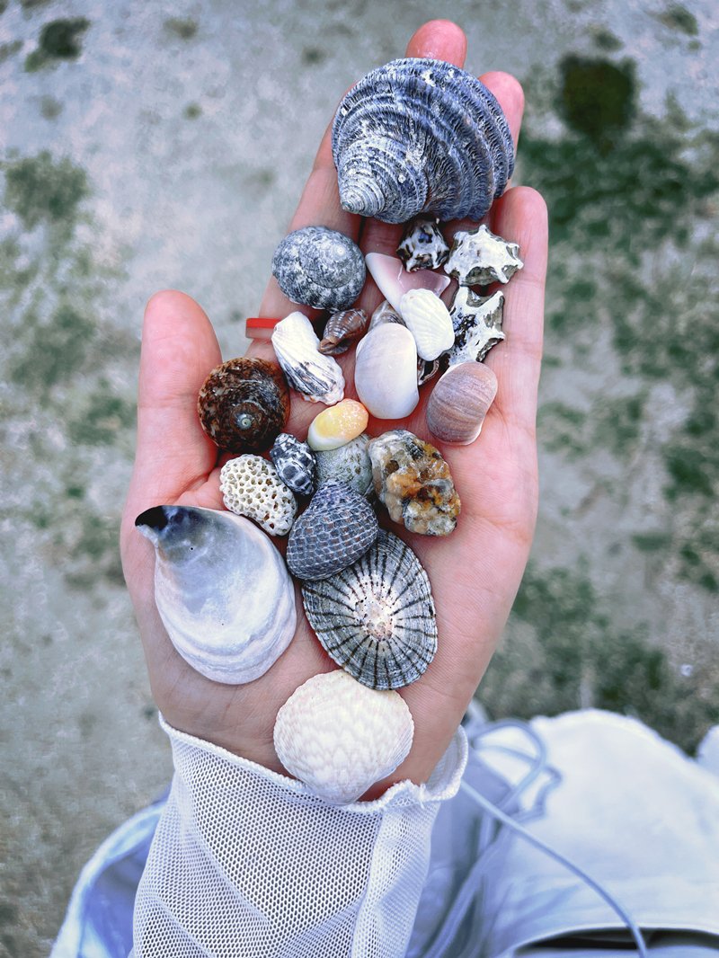 diamonster0's tweet photo. Summer on Hand https://t.co/9zzAWYMkGM