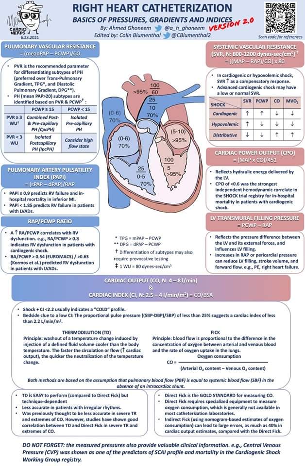 🔴Right Heart Catheterization - Pulmonary Artery Pressures and Calculations

cardionerds.com/#mobile-menu-t…
#Right #Heart #Catheterization #RHC #PACatheter #calculations #pressures #equations #pulmonary #artery #catheter #diagnosis #cardiology #swanganz
#MedX #MedTwitter #CardioTwitter