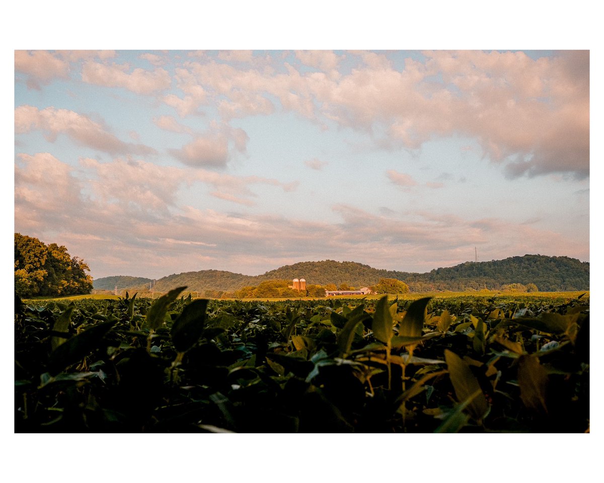 JcCapturedit's tweet photo. Beans, beams, and barns

Fujifilm XT-20 | 23mm f2

#photography #photographer #fuji #fujifilm #fujiphotography #tnphotographer #greenevilletn https://t.co/GFbnXpi6OO
