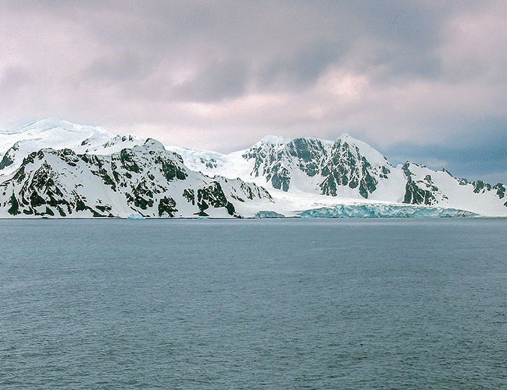 Brendan M. Lynch 🌻 tweet media