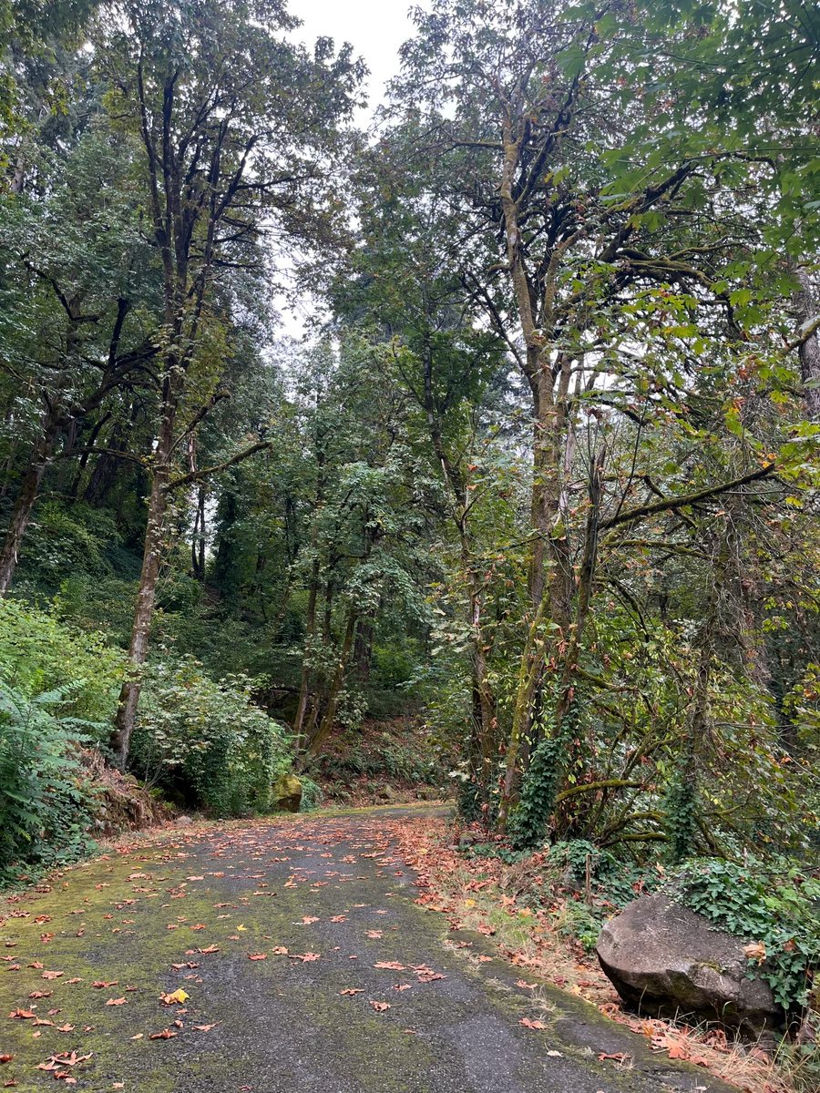 City of Oregon City tweet media