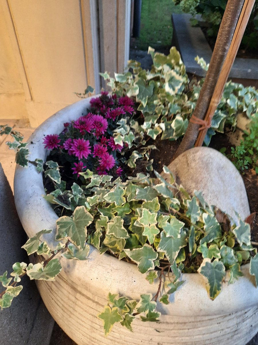 Nataliya Bennett (@nataliyabennet5) on Twitter photo Our Eco Club students did a great job planting new plants at the front of the school. 🤩 <a href="/shsrbk/">Southborough High School</a>
Assembling a new watering hose pipe prooved a challenge😅!
Thank you to Southborough PTA for their donation 🙏 ❤️
#ecoclub
#PTA Our Eco Club students did a great job planting new plants at the front of the school. 🤩 <a href="/shsrbk/">Southborough High School</a>
Assembling a new watering hose pipe prooved a challenge😅!
Thank you to Southborough PTA for their donation 🙏 ❤️
#ecoclub
#PTA
