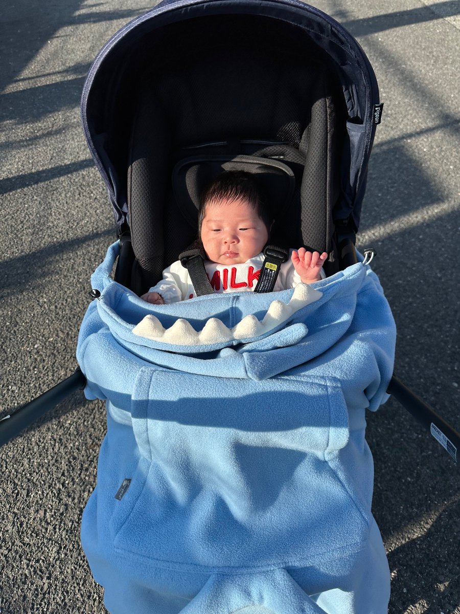 【実際に私がやっていたこと】

「毎日お散歩」

1カ月健診後からは
よっぽどな天気以外は
毎日お散歩に出かけていました🌱

初めの頃は5分だけとかでしたが、
少しずつ娘の様子を見ながら
時間と距離を伸ばし、
帰ってきてからもベランダで
歌いながら日光浴やシャボン玉を
よくしていました☺️🫧