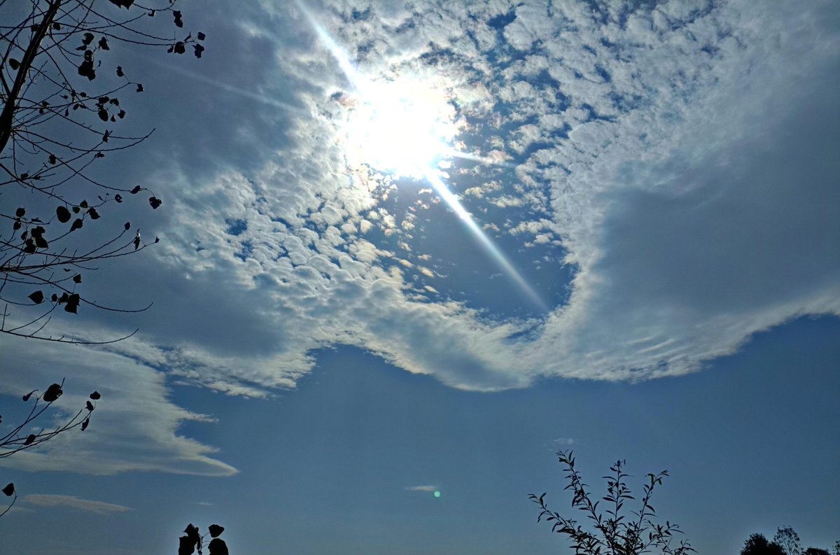 حمید بلو tweet media