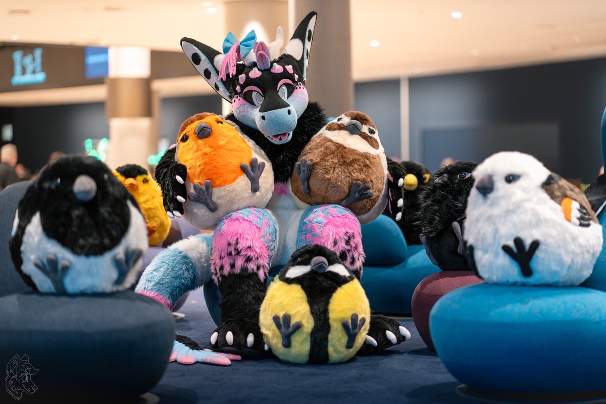 Do you want to become a mother of borb too? 😱 Now is your chance! 🐥🐦‍⬛ Come see my table Dealers’ Den tabel G/37 at #Eurofurence28 and get one of these CHONKERS!

🐉 <a href="/FluffyFionka/">Fionka</a> 
📸 <a href="/vlaaacek/">VlaceK</a>