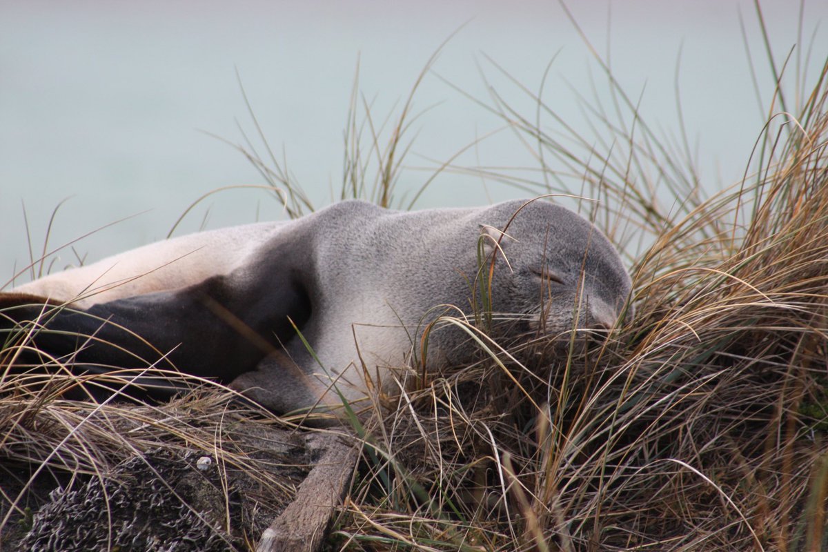 It’s nearly Friday… hang on in there folks!! 😃