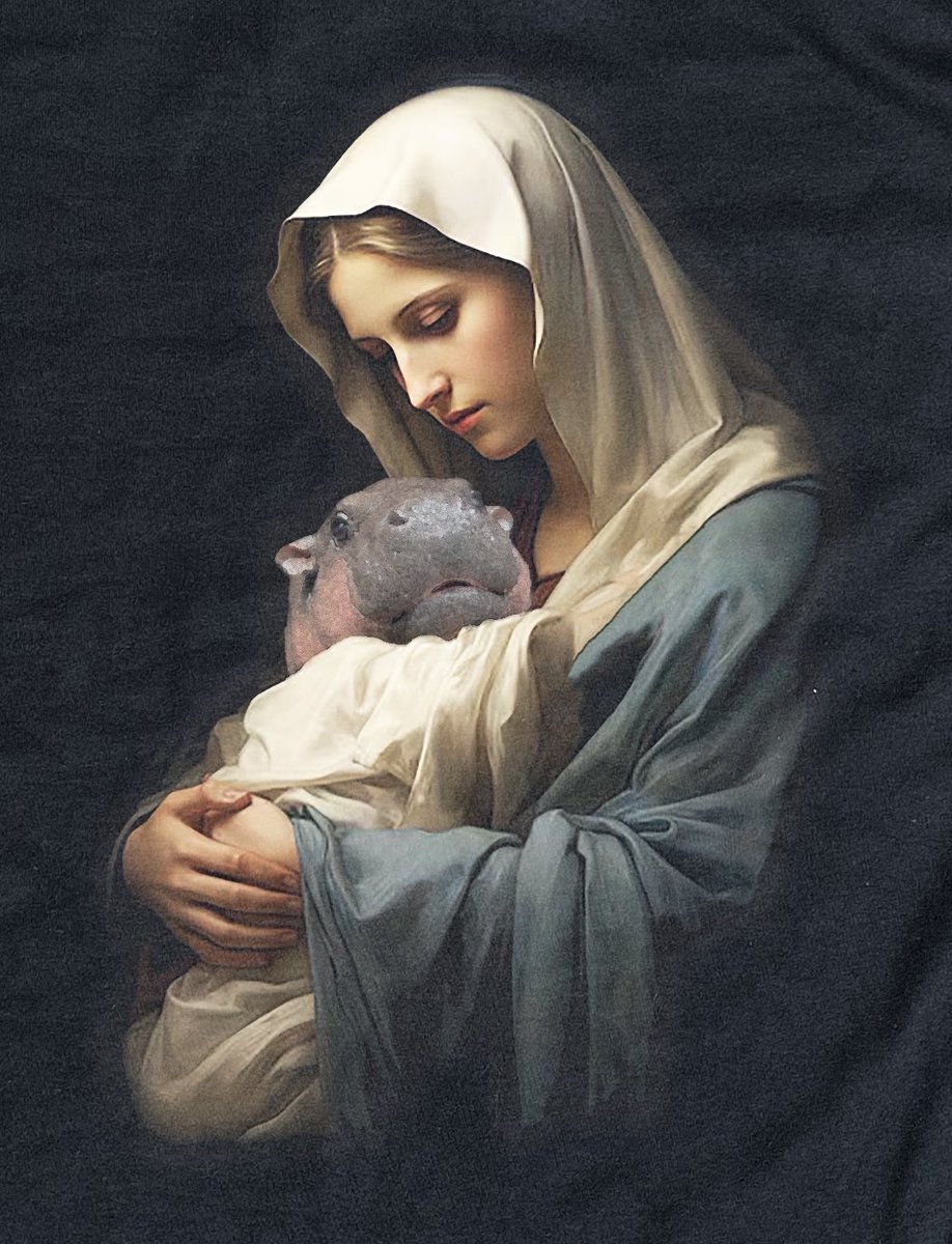 shirts that go hard (@shirtsthtgohard) on Twitter photo 