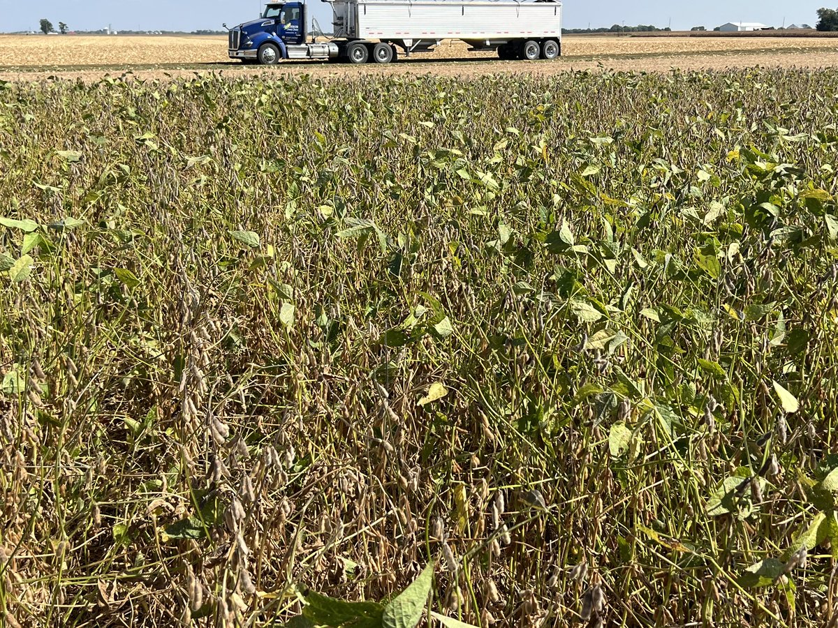 Brent Johnson tweet media