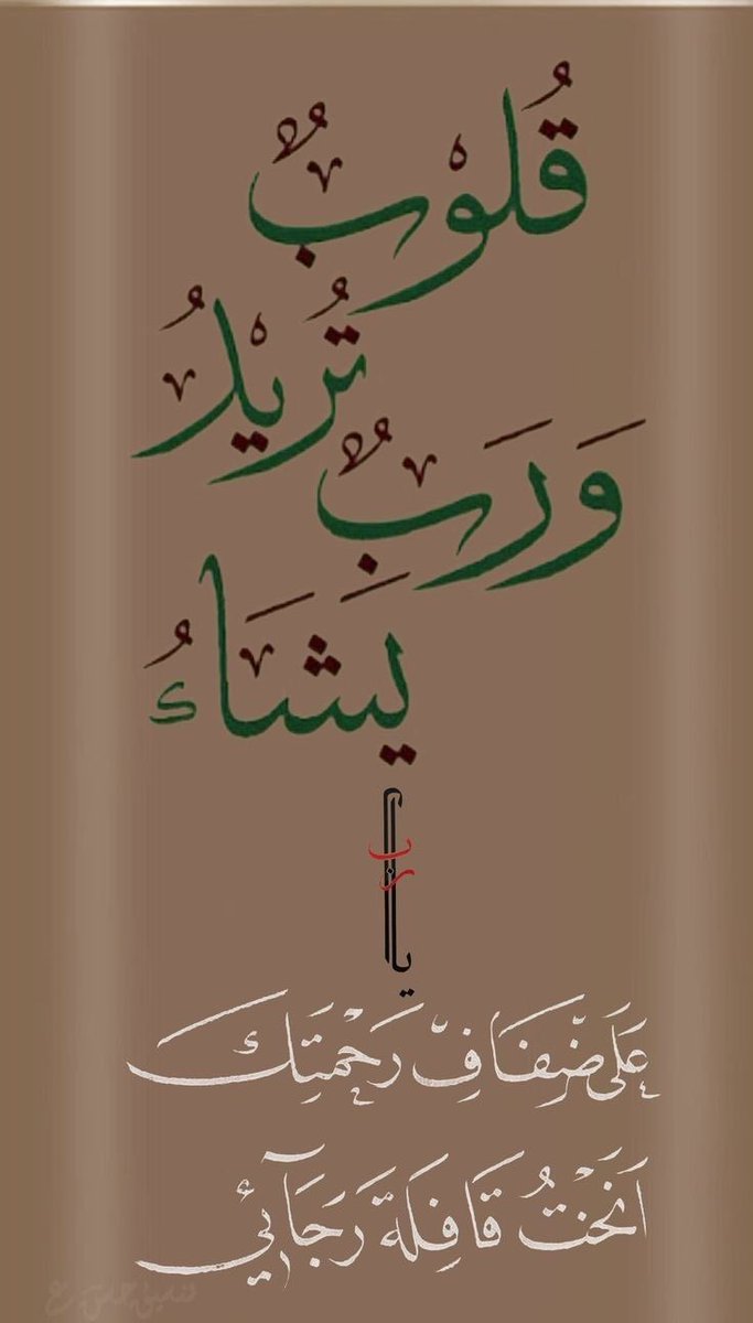 د. عائشة محمد بوخاطر الشامسي (@aishabukhatir) on Twitter photo 