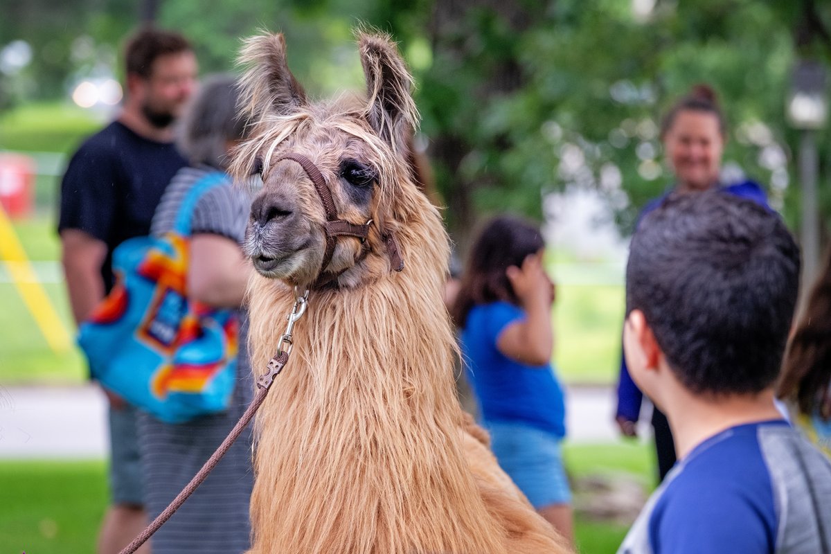 We’re looking back at all the fun we had this summer at Hennepin County Library. It was one for the books!

This quick recap includes resources to support your student throughout the new school year: hclib.org/about/news/202…