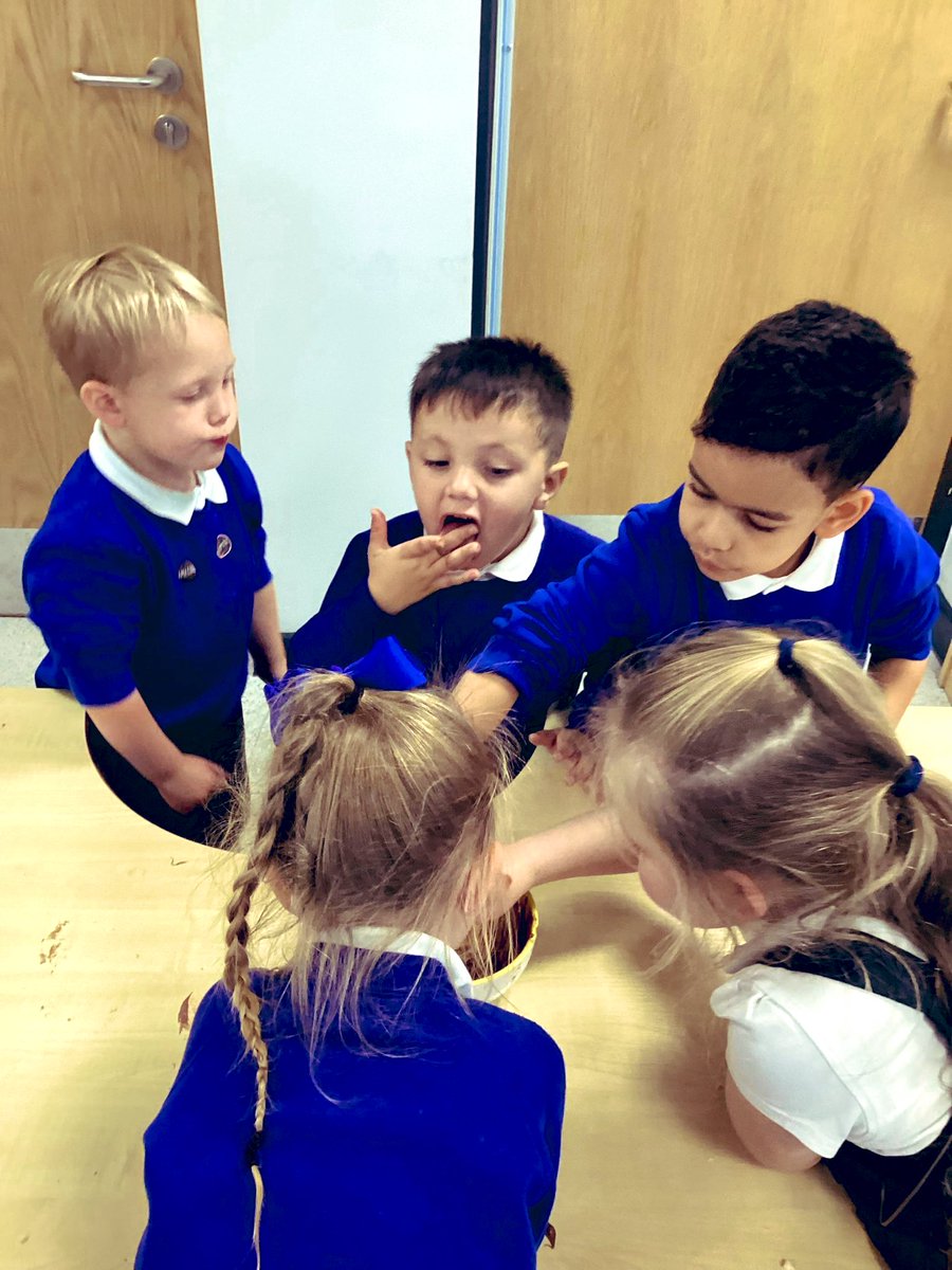 orchardsac's tweet image. Reception had fun on #RoaldDahlDay2024! Melted chocolate to taste and made their own golden tickets! 
Well done Reception! #earlyexcellence #getset #greenheart @greenheartLP 💚