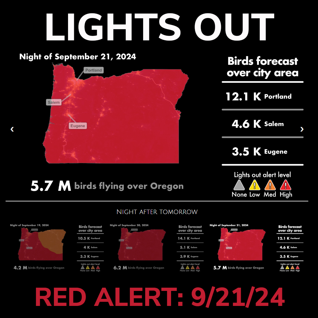 Tonight begins our PEAK Fall Migration: September 19 - October 19. There are RED ALERTS for the next 3 nights, with more than 16 million birds projected to be passing through Oregon skies! Many buildings in Portland have pledged to go #LightsOut. We are hoping you will join them!
