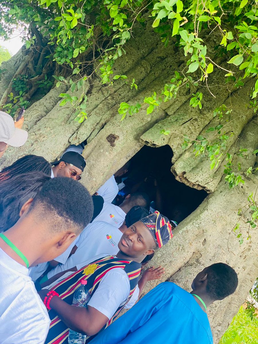 KissouYes's tweet photo. Dernière journée riche en découvertes au #Blogcamp2024. Les tatas sombas et le baobab millénaire ont dévoilé leurs secrets et nous ont émerveillés. Un arbre pouvant  abriter une communauté entière.
Incroyable! 
 #nature #Afrique #voyage #ABBENIN
#BlogForDssr #CampNanto 
#Nati2024 https://t.co/fDXNch2ILp