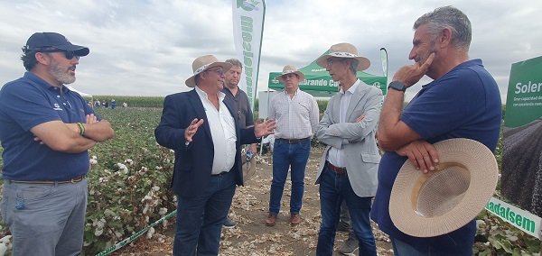 espalgodon's tweet photo. 🌱☁️ La XI Edición de #Expolgodón se cierra con la participación de casi 200 profesionales del sector
📍Pedanía Trajano de #Utrera (#Sevilla)
+INFO ➡️ https://t.co/0p10ejtHEe
👉🏼 @CertisBelchimES #ENTEC (@EuroChemGroup) @FMCagricola @guadalsem @santander_es #Expoalgodon2024 https://t.co/tRxrz71vqS
