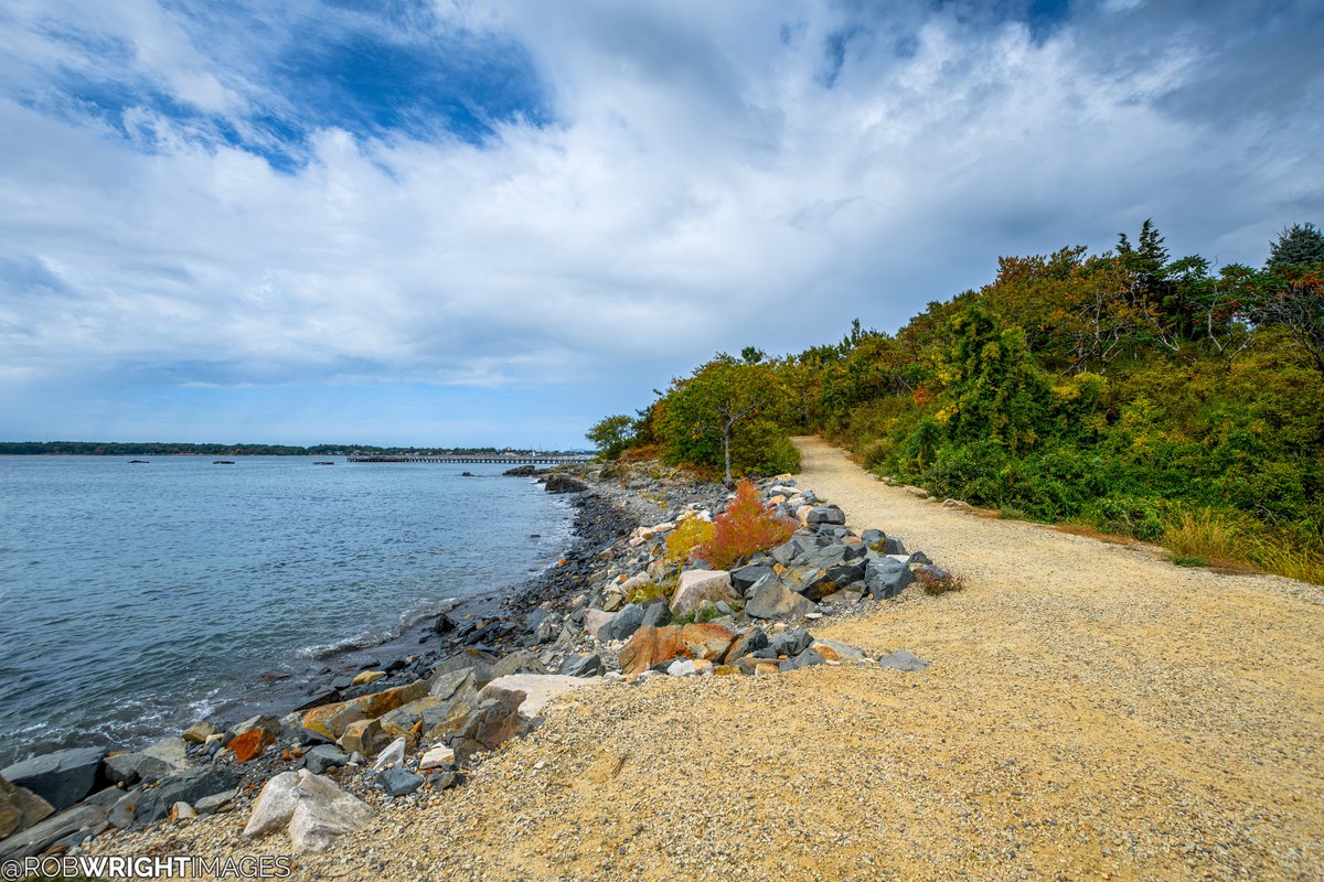 Rob Wright Images tweet media