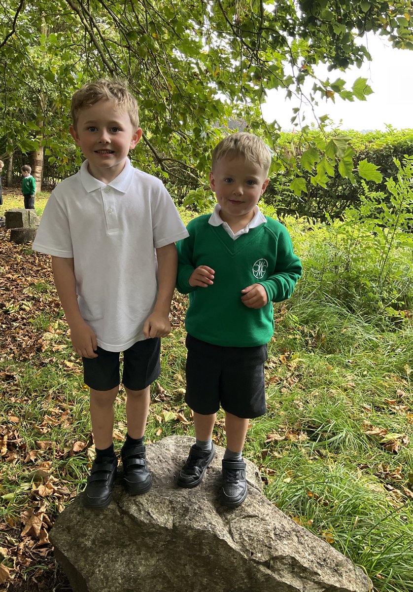 CW Primary School tweet media
