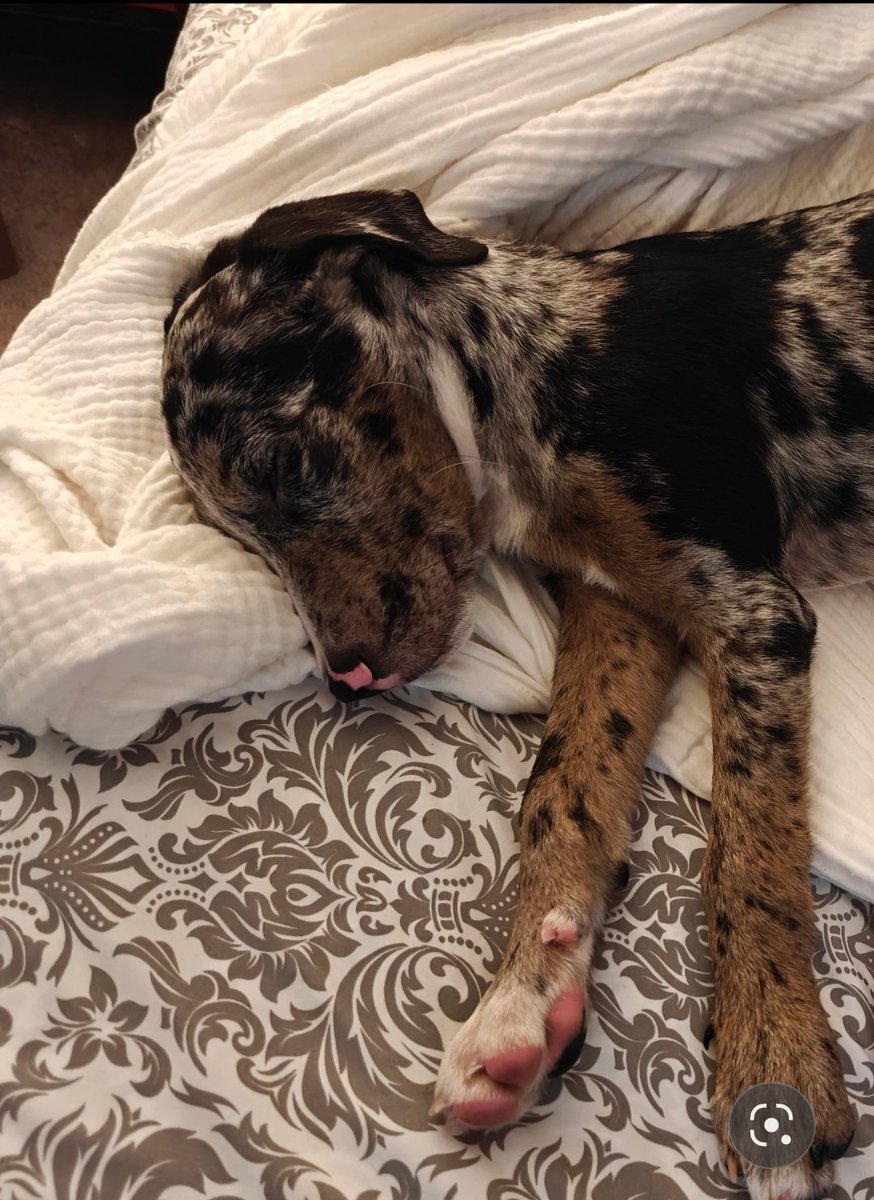 EuphoricFuzion's tweet photo. Y'all! I just can't!!!
#NewBaby #NotThePlan #SUCHaBlessing https://t.co/zHvSu4Ez9j