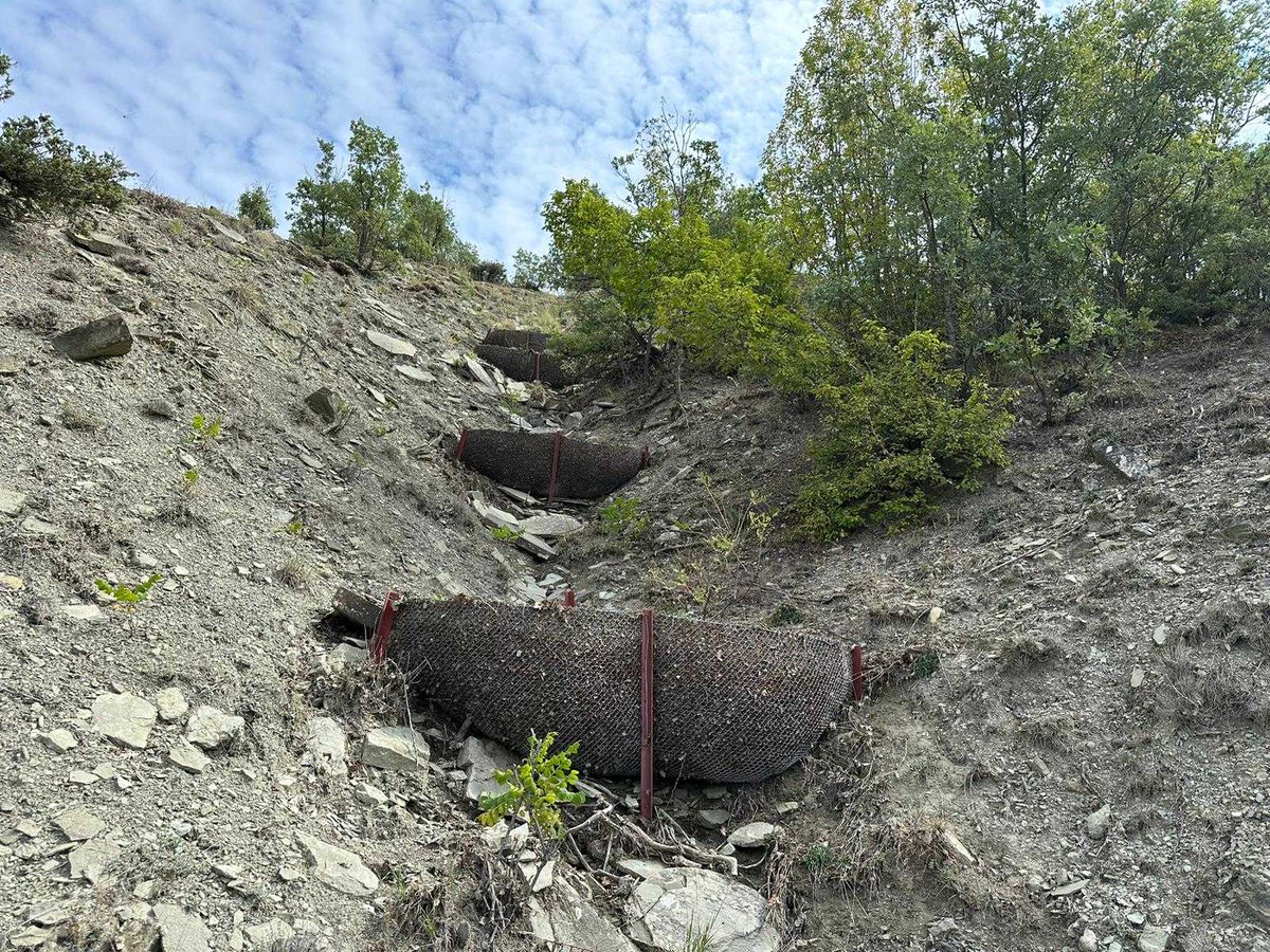 Amasya Orman Bölge Müdürlüğü tweet media