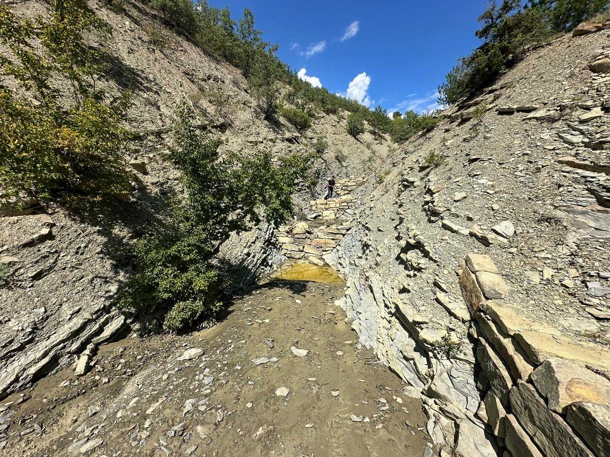 Amasya Orman Bölge Müdürlüğü tweet media