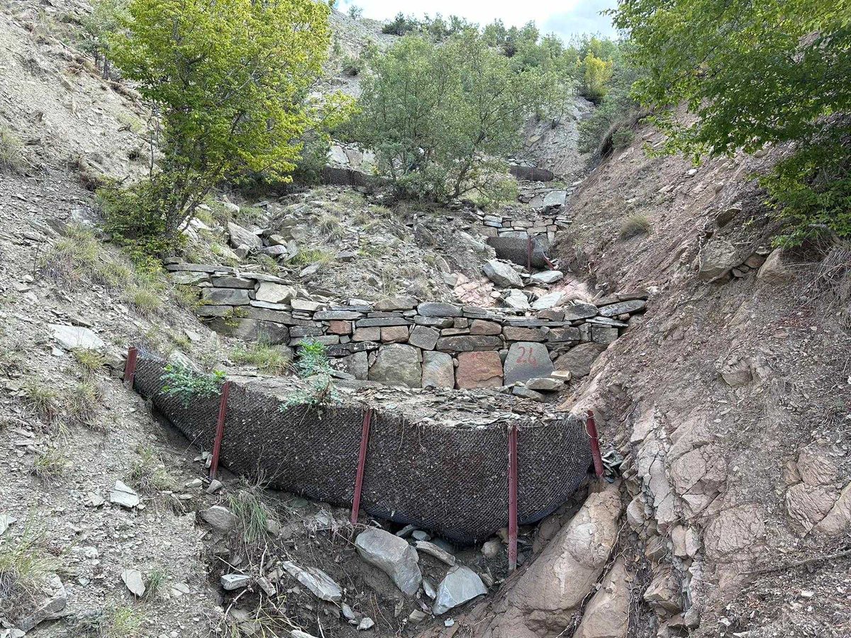 Amasya Orman Bölge Müdürlüğü tweet media