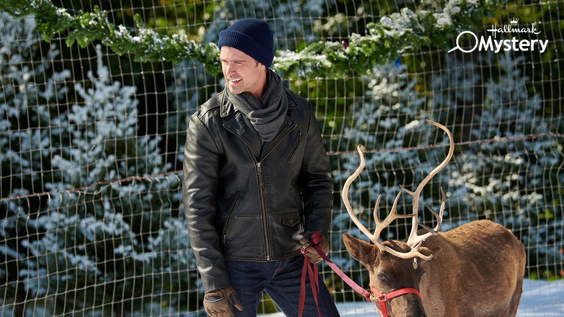 hallmarkmystery's tweet photo. All is calm on this #ChristmasThursdays! Get cozy and tune in to #NorthernLightsOfChristmas and #HolidayHearts tonight at 7/6c featuring #AshleyWilliams. You can see her again Saturday at 8/7c in the premiere of #FallingTogether on @HallmarkChannel! ❤️🎄 https://t.co/37fKp6sP0z